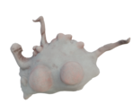 Horror Blob - Accounting+