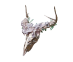 Metal Deer Skull - Oculus Home