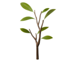 Twig Tree - Oculus Home