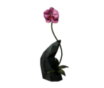 Flower Vase - Oculus Home
