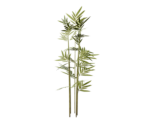 Plant Large One - Oculus Home