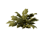 Plant Medium Three - Oculus Home