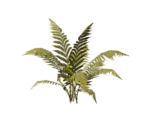 Plant Medium Eight - Oculus Home