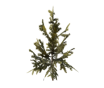 Plant Large Six - Oculus Home