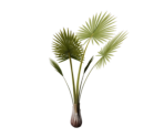 Plant Large Two - Oculus Home