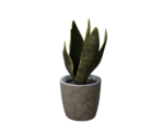 Plant Potted Two - Oculus Home
