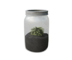 Plant Potted Three - Oculus Home