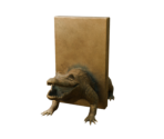 Alligator Bookends - Oculus Home