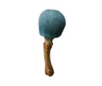 Fungus Shroom - Oculus Home