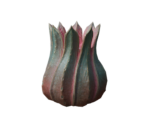 Space Succulent - Oculus Home