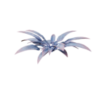 Purple Space Plant - Oculus Home
