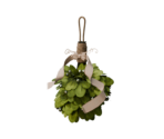 Mistletoe - Oculus Home