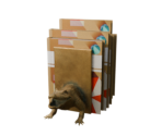 Book Stack - Oculus Home