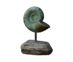 Almighty Ammonite - Oculus Home