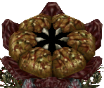 Deku Like - The Legend of Zelda: Twilight Princess