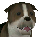 Dog - The Legend of Zelda: Twilight Princess