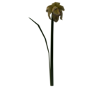 Dead Daffodil - LittleBigPlanet 3 (Prototype)
