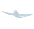 Humming Bird - Oculus Home