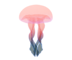 Jellyfish - Oculus Home