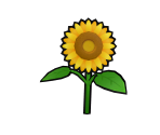 Sunflower - Gardening Mama 2: Forest Friends