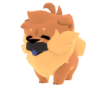 Pet Chow Chow - Animal Jam: Play Wild!