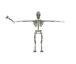 Skeleton Ape - Castlevania: Legacy of Darkness