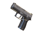 P350 - BONEWORKS