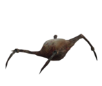 Fast Headcrab - Half-Life 2