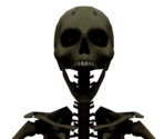 Skeleton - Half-Life 2
