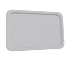 Food Tray - Rec Room