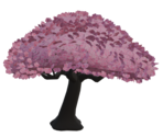 Cherry Blossom Tree - Rec Room