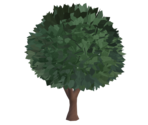Fruit Tree - Rec Room