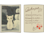 White Cat Photograph/Pawnbroker's Ticket (Box) - The Great Ace Attorney Chronicles