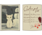 White Cat Photograph #2/Pawnbroker's Ticket (Coat) - The Great Ace Attorney Chronicles