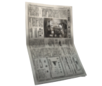 Soseki Natsume Article - The Great Ace Attorney Chronicles