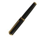 Fountain Pen - The Great Ace Attorney Chronicles