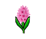 Hyacinth - Gardening Mama 2: Forest Friends