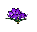 Crocus - Gardening Mama 2: Forest Friends