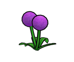 Allium - Gardening Mama 2: Forest Friends