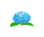 Hydrangea - Gardening Mama 2: Forest Friends