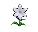 Lily - Gardening Mama 2: Forest Friends
