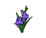 Gladiolus - Gardening Mama 2: Forest Friends