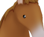 Horse - Story of Seasons: A Wonderful Life