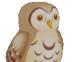 Owl - Story of Seasons: A Wonderful Life