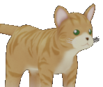 Cat (Orange) - Story of Seasons: A Wonderful Life