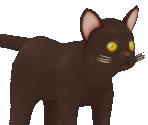 Cat (Black) - Story of Seasons: A Wonderful Life