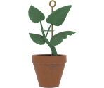 Ficus Elastica Plant - Dead by Daylight