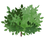 Bush - Rec Room