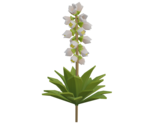 Yucca - Rec Room