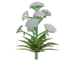 Yarrow - Rec Room